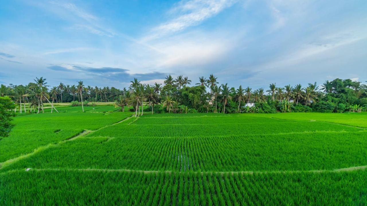 Maruan Sari * Ubud (Bali)
